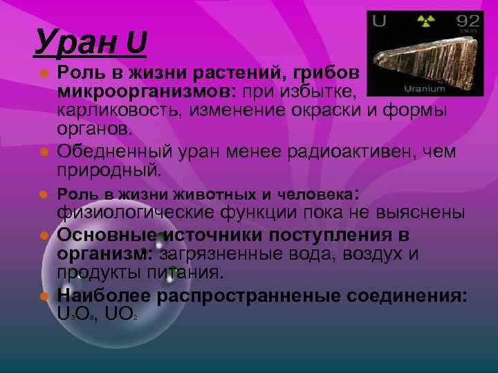 Уран U ● Роль в жизни растений, грибов и микроорганизмов: при избытке, карликовость, изменение