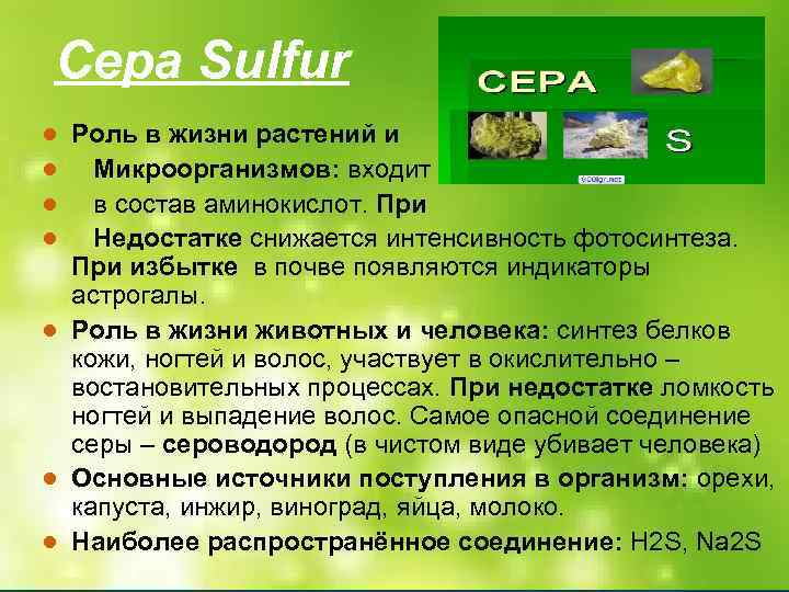 Сера Sulfur ● ● Роль в жизни растений и Микроорганизмов: входит в состав аминокислот.