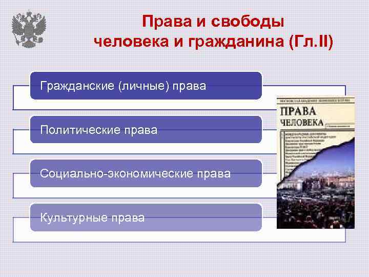 Политические права и свободы граждан план