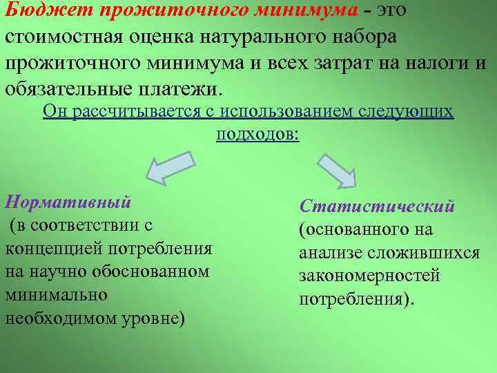 Бюджет прожиточного минимума - это стоимостная оценка натурального набора прожиточного минимума и всех затрат