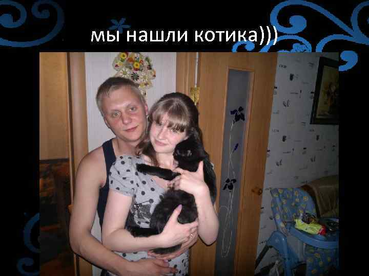 мы нашли котика))) 