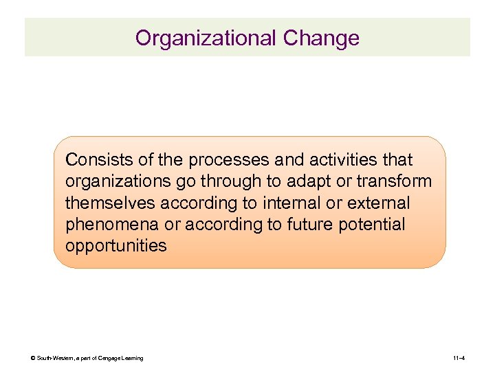 Organizational Change Consists of the processes and activities that organizations go through to adapt