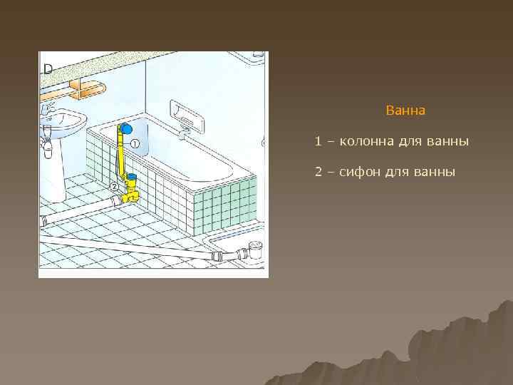 Ванна 1 – колонна для ванны 2 – сифон для ванны 