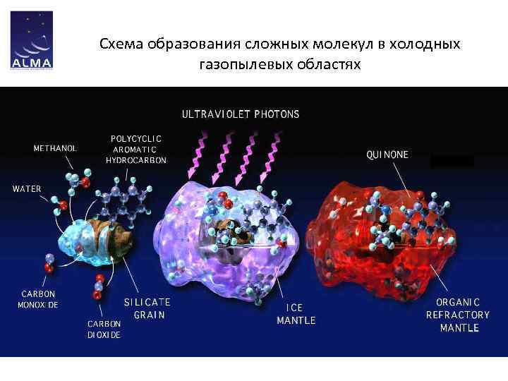 Схема образования сложных молекул в холодных газопылевых областях 