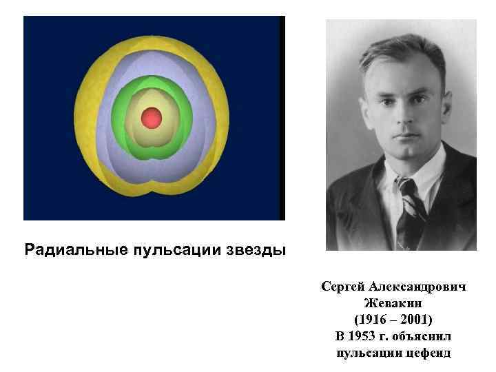 Радиальные пульсации звезды Сергей Александрович Жевакин (1916 – 2001) В 1953 г. объяснил пульсации