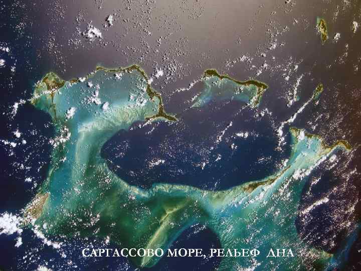 САРГАССОВО МОРЕ, РЕЛЬЕФ ДНА 