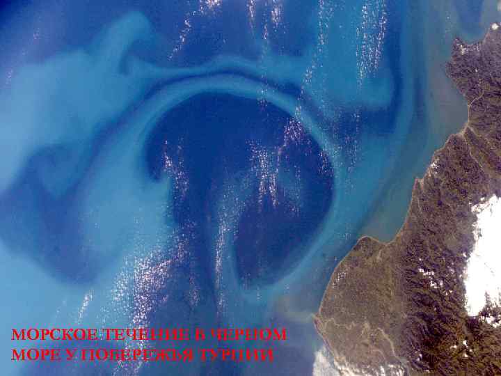 МОРСКОЕ ТЕЧЕНИЕ В ЧЕРНОМ МОРЕ У ПОБЕРЕЖЬЯ ТУРЦИИ 