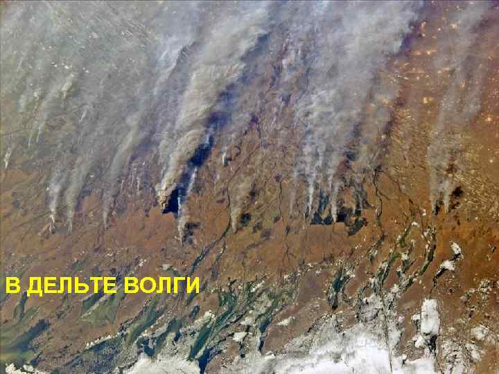 В ДЕЛЬТЕ ВОЛГИ 