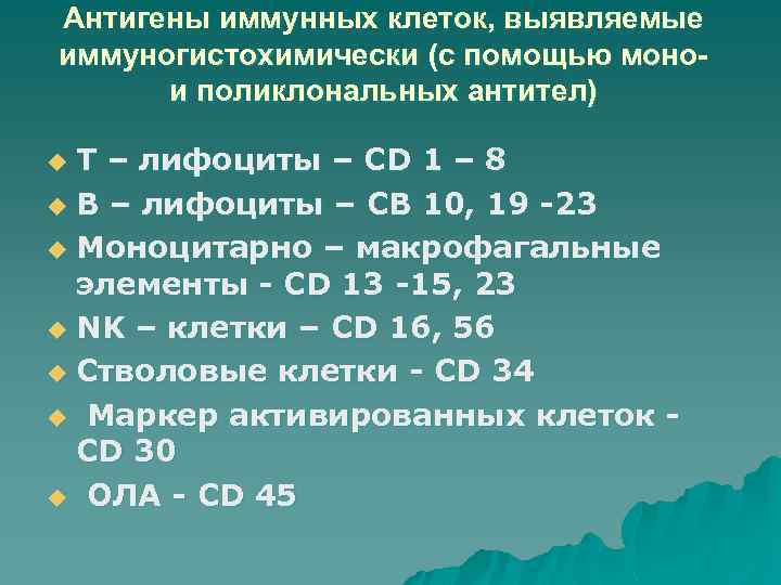 Антигены иммунных клеток, выявляемые иммуногистохимически (с помощью монои поликлональных антител) Т – лифоциты –