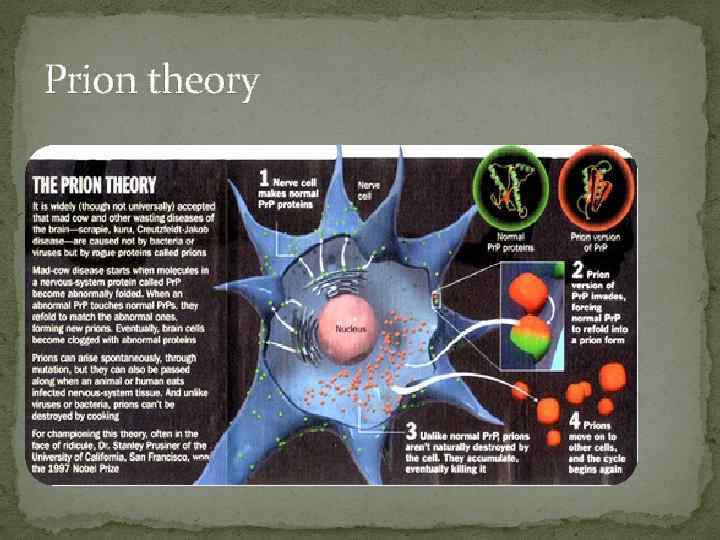 Prion theory 