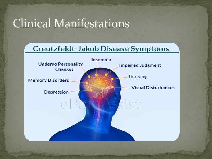 Clinical Manifestations 