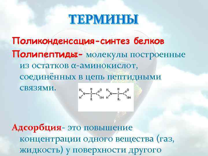 ТЕРМИНЫ Поликонденсация-синтез белков Полипептиды- молекулы построенные из остатков α-аминокислот, соединённых в цепь пептидными связями.