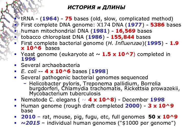 ИСТОРИЯ и ДЛИНЫ § § § § t. RNA - (1964) - 75 bases
