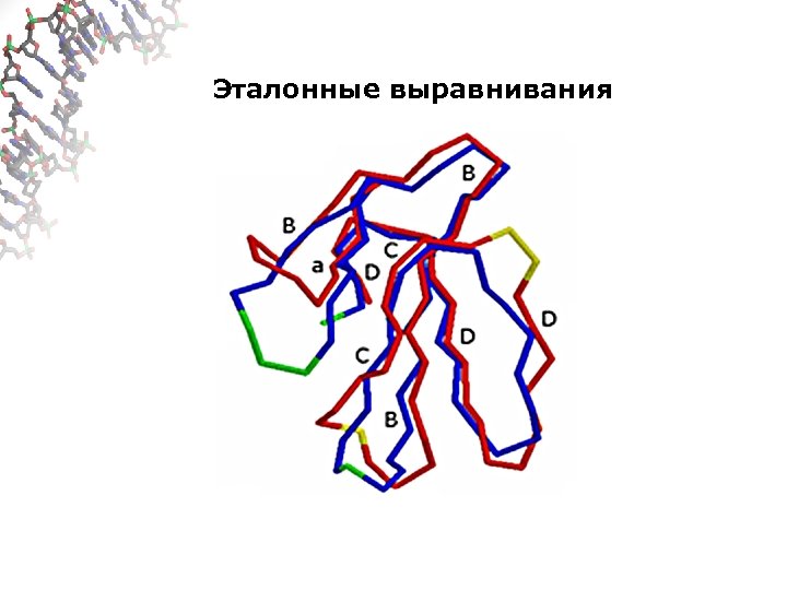 Эталонные выравнивания 