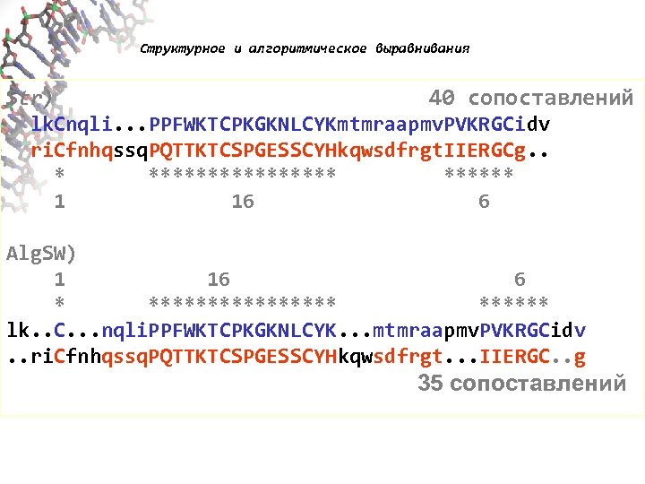 Структурное и алгоритмическое выравнивания Str) 40 сопоставлений lk. Cnqli. . . PPFWKTCPKGKNLCYKmtmraapmv. PVKRGCidv ri.