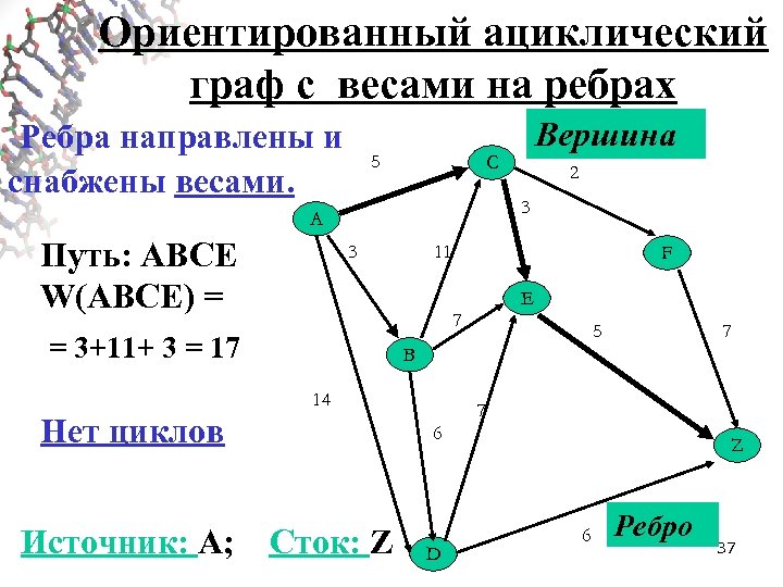 Ориентированный ациклический граф с весами на ребрах Ребра направлены и снабжены весами. 5 C