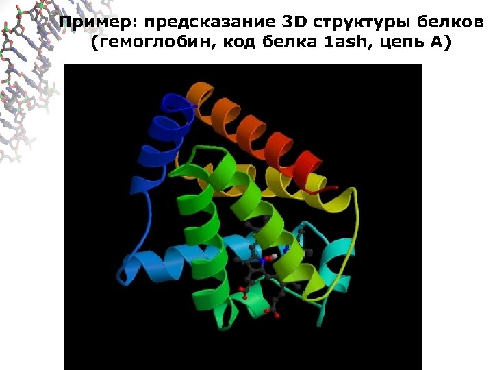 Пример: предсказание 3 D структуры белков (гемоглобин, код белка 1 ash, цепь А) 
