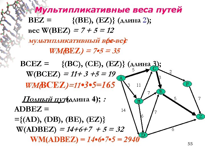 Мультипликативные веса путей BEZ = {(BE), (EZ)} (длина 2); вес W(BEZ) = 7 +