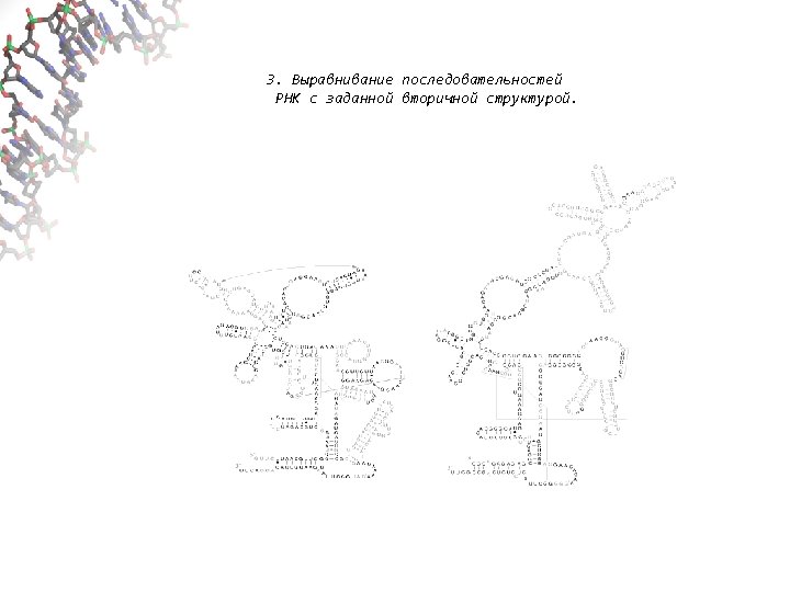 3. Выравнивание последовательностей РНК с заданной вторичной структурой. 