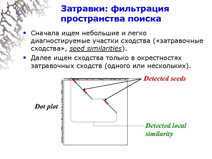  Затравки: фильтрация пространства поиска § Сначала ищем небольшие и легко диагностируемые участки сходства