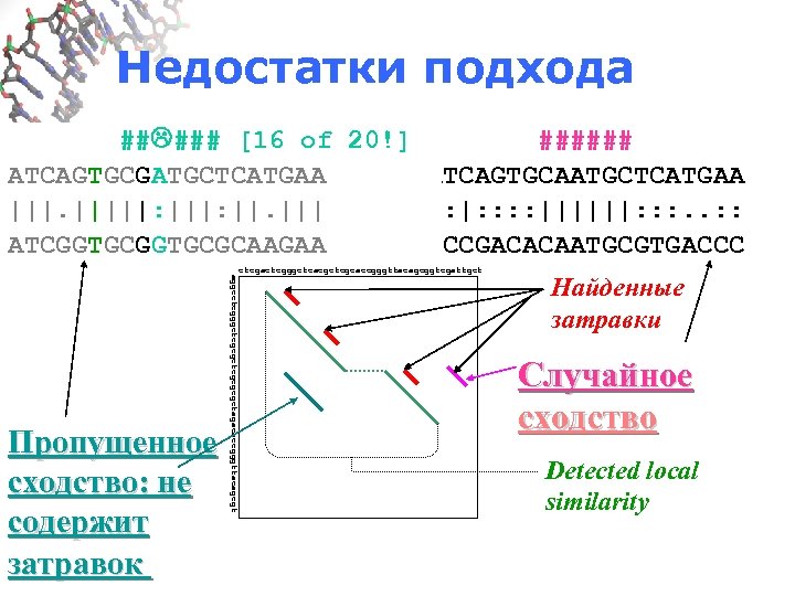 Недостатки подхода ## ### [16 of 20!] ###### ATCAGTGCGATGCTCATGAA ATCAGTGCAATGCTCATGAA |||||: ||. ||| :