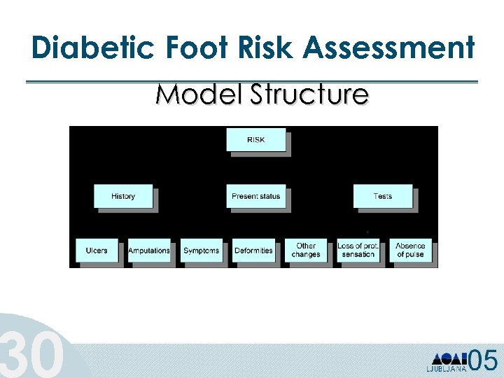 Diabetic Foot Risk Assessment 30 Model Structure 