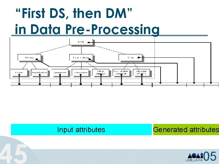 “First DS, then DM” in Data Pre-Processing 45 Input attributes Generated attributes 