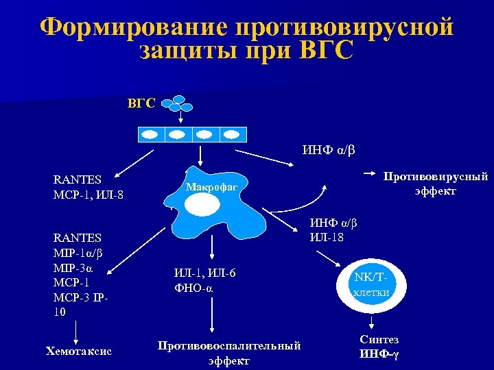 Формирование противовирусной защиты при ВГС ИНФ α/β RANTES MCP-1, ИЛ-8 RANTES MIP-1α/β MIP-3α MCP-1