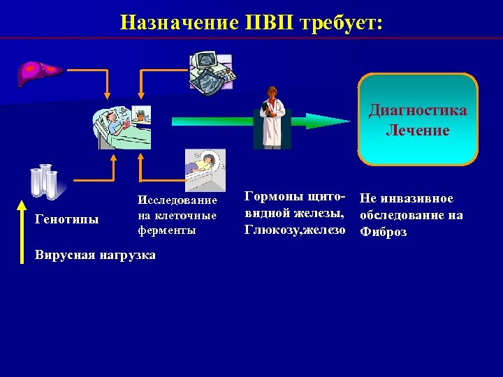 Назначение ПВП требует: Диагностика Лечение Генотипы Исследование на клеточные ферменты Вирусная нагрузка Гормоны щито-