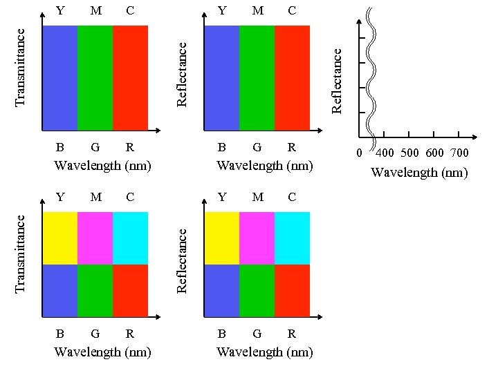 M C B G R Y M C B G R Reflectance Transmittance Y
