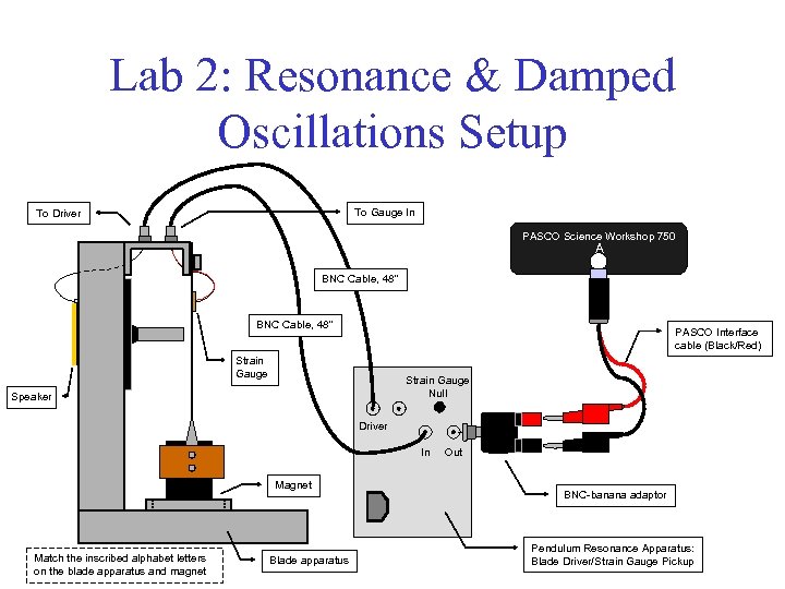 Lab 2: Resonance & Damped Oscillations Setup To Gauge In To Driver PASCO Science