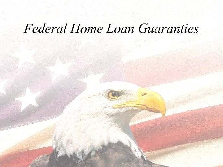 Federal Home Loan Guaranties 