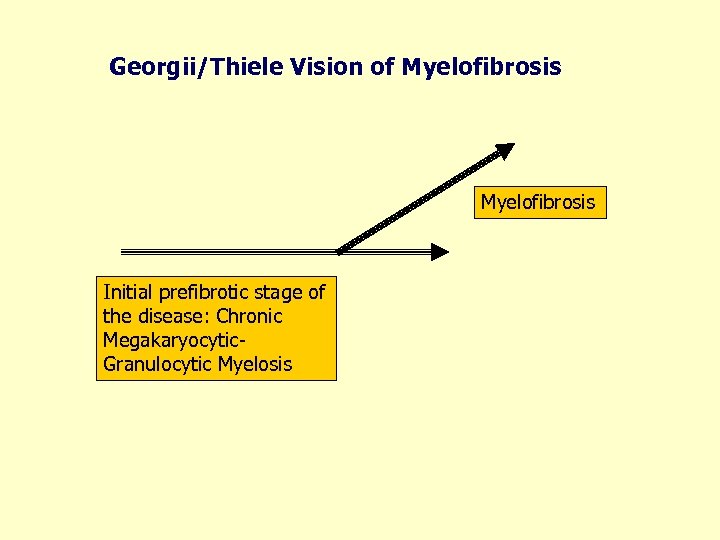 Georgii/Thiele Vision of Myelofibrosis Initial prefibrotic stage of the disease: Chronic Megakaryocytic. Granulocytic Myelosis