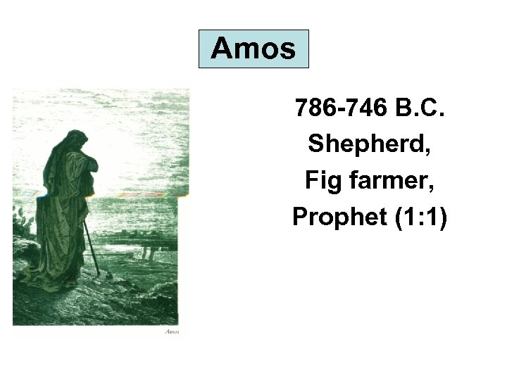 Amos 786 -746 B. C. Shepherd, Fig farmer, Prophet (1: 1) 