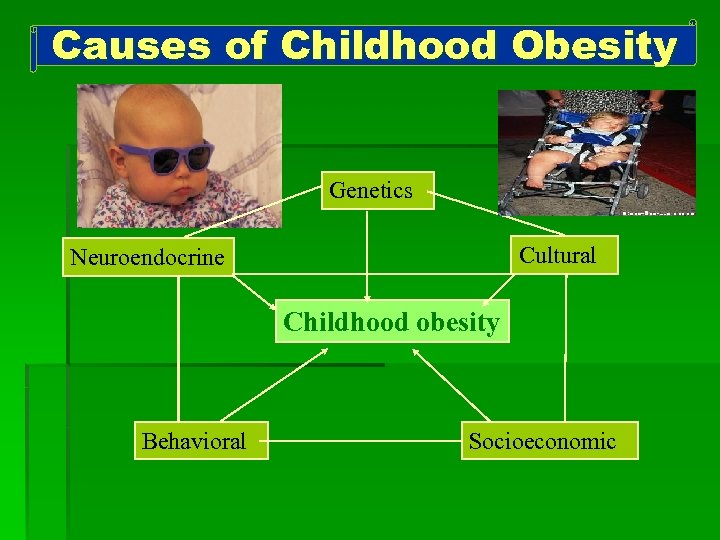 Causes of Childhood Obesity Genetics Cultural Neuroendocrine Childhood obesity Behavioral Socioeconomic 