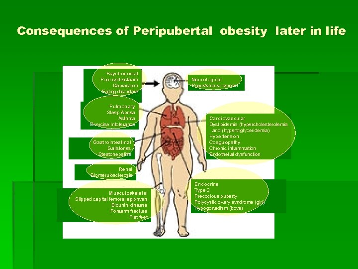 Consequences of Peripubertal obesity later in life Psychosocial Poor self-esteem Depression Eating disorders Pulmonary