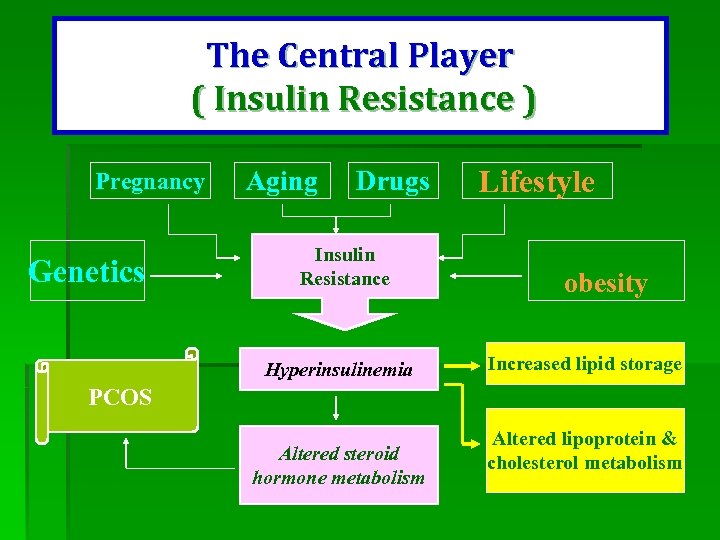 The Central Player ( Insulin Resistance ) Pregnancy Genetics Aging Drugs Insulin Resistance Hyperinsulinemia