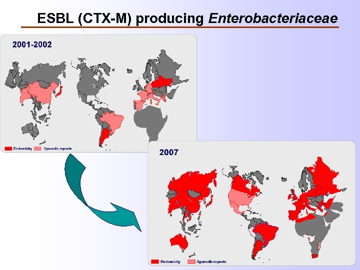 ESBL (CTX-M) producing Enterobacteriaceae 