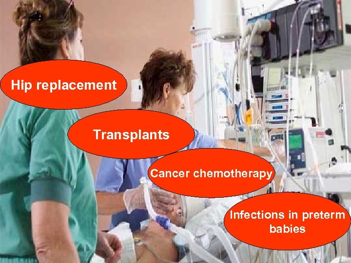 Hip replacement Transplants Cancer chemotherapy Infections in preterm babies 