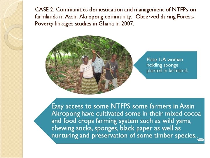 CASE 2: Communities domestication and management of NTFPs on farmlands in Assin Akropong community.