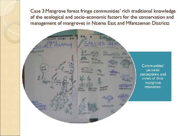 Case 3: Mangrove forest fringe communities’ rich traditional knowledge of the ecological and socio-economic