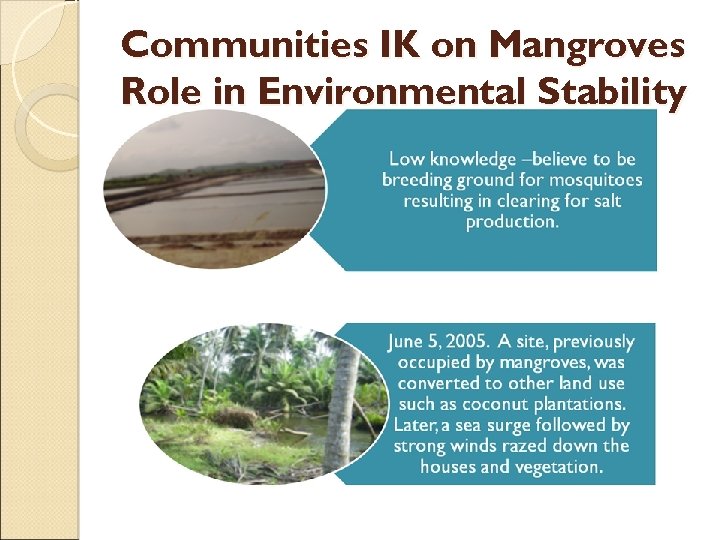 Communities IK on Mangroves Role in Environmental Stability 