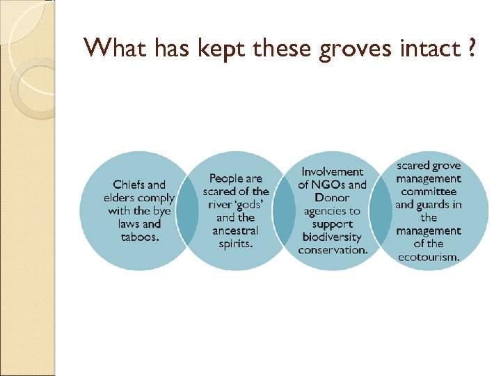 What has kept these groves intact ? 