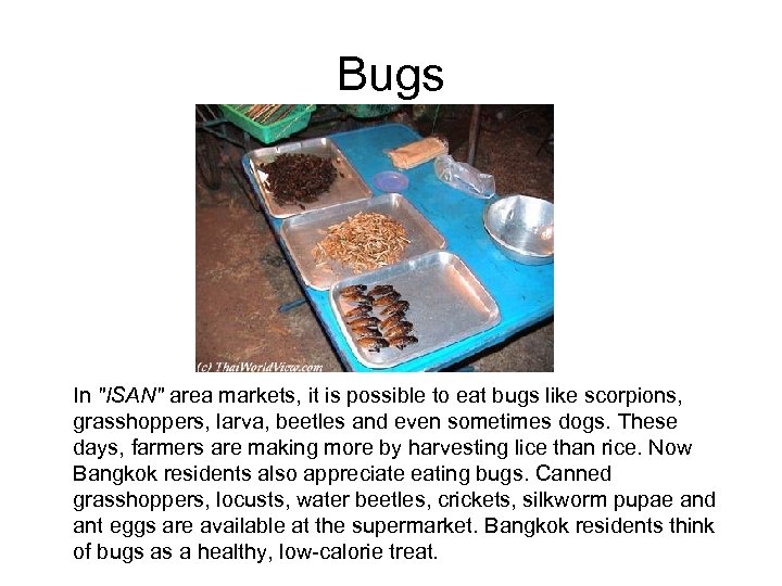 Bugs In "ISAN" area markets, it is possible to eat bugs like scorpions, grasshoppers,