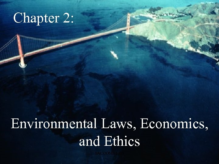Chapter 2: Environmental Laws, Economics, and Ethics SACCONE 2003 