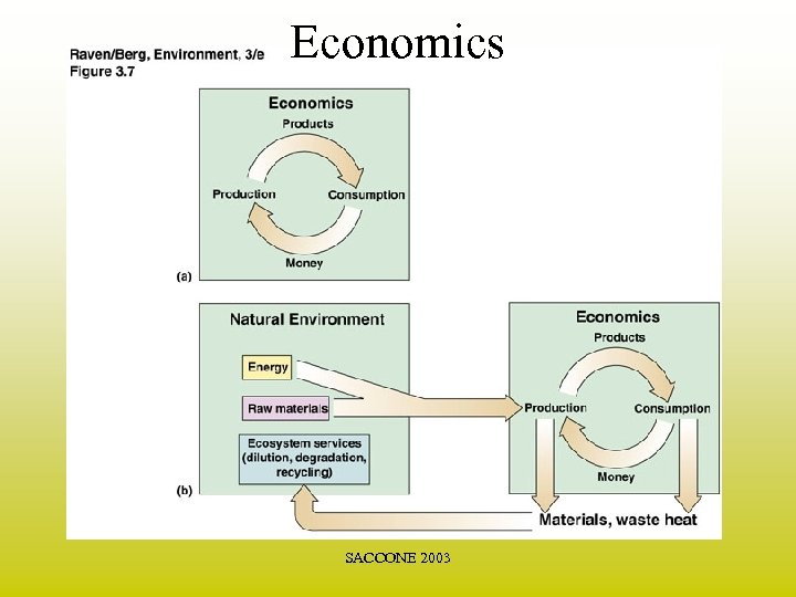 Economics SACCONE 2003 