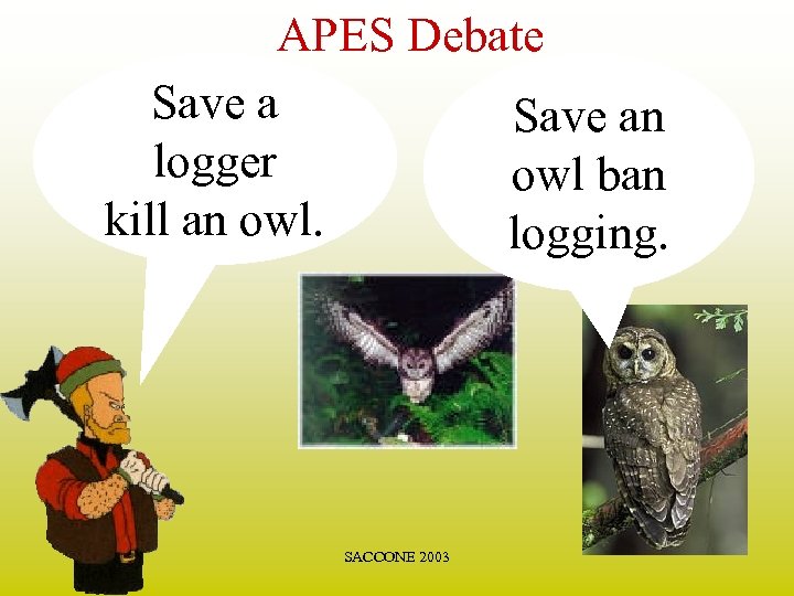APES Debate Save an logger owl ban kill an owl. logging. SACCONE 2003 
