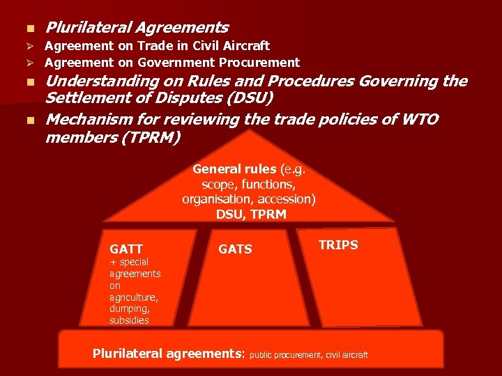 n Plurilateral Agreements Agreement on Trade in Civil Aircraft Ø Agreement on Government Procurement