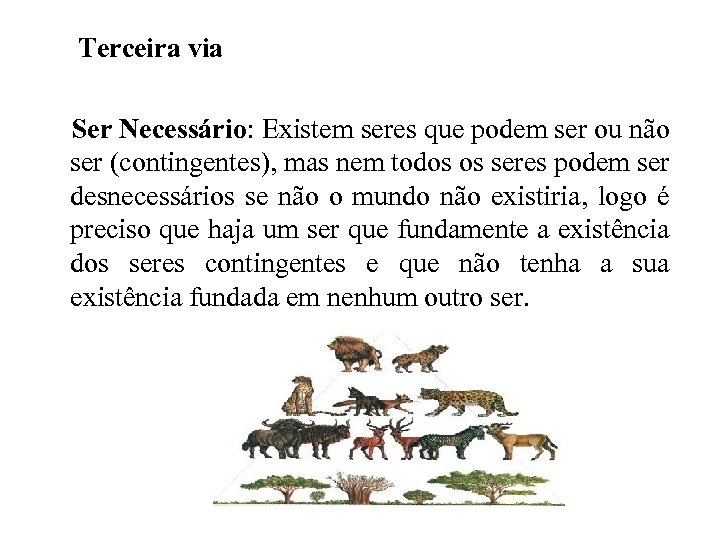 Terceira via Ser Necessário: Existem seres que podem ser ou não ser (contingentes), mas