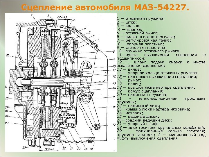 Сцепление автомобиля МАЗ-54227. 1 — отжимная пружина; 2 — шток; 3 — кольцо. 4